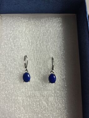 Lapis Lazuli Drop Style Earrings